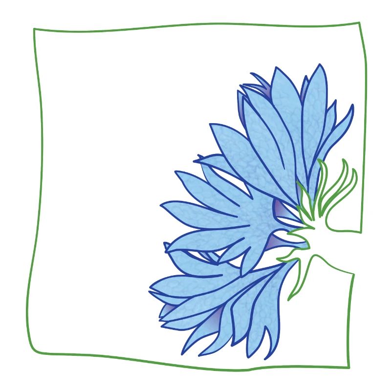 Cornflower minimalist