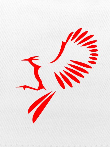 Illustration oiseau