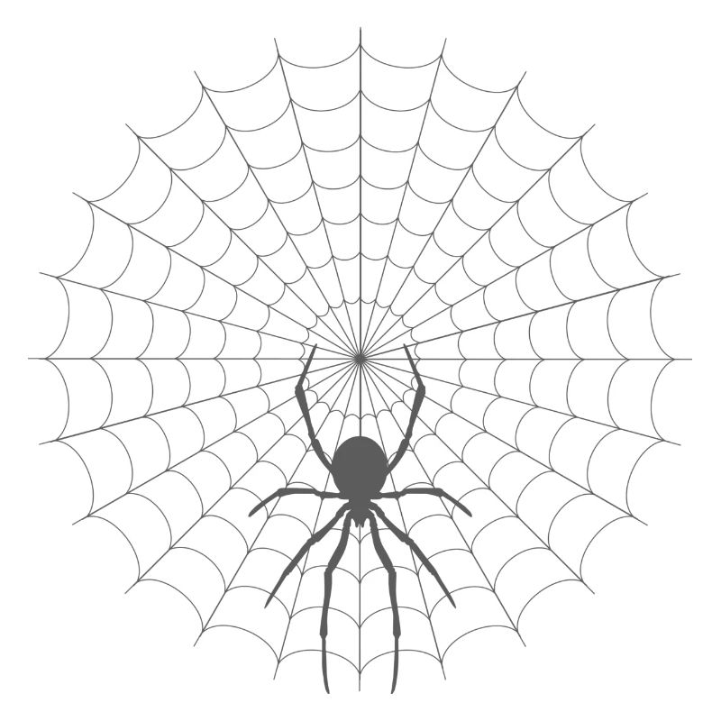Spider Web Silhouette