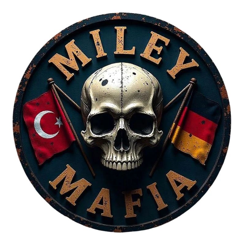 Crâne militaire avec drapeaux