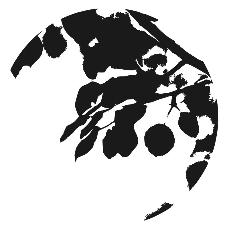 Silhouette circulaire eucalyptus