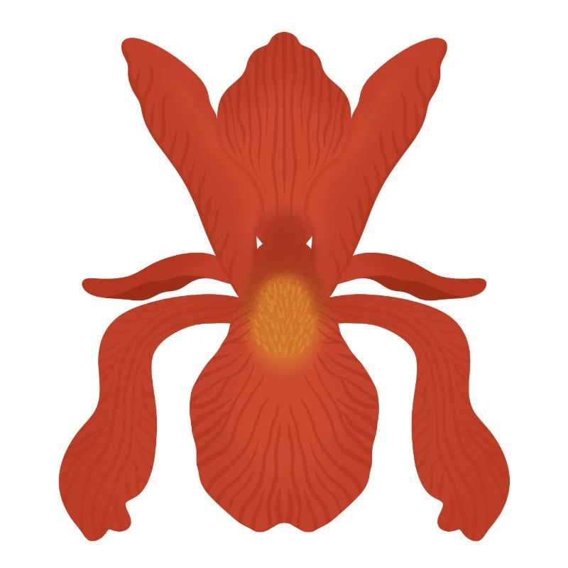 Crimson Iris Flame