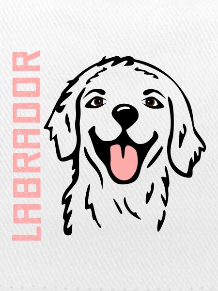 Glückliche Hunde Labrador