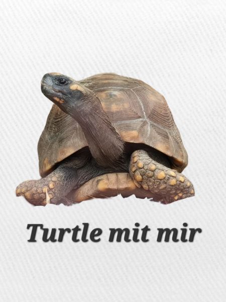 Turtle mit mir
