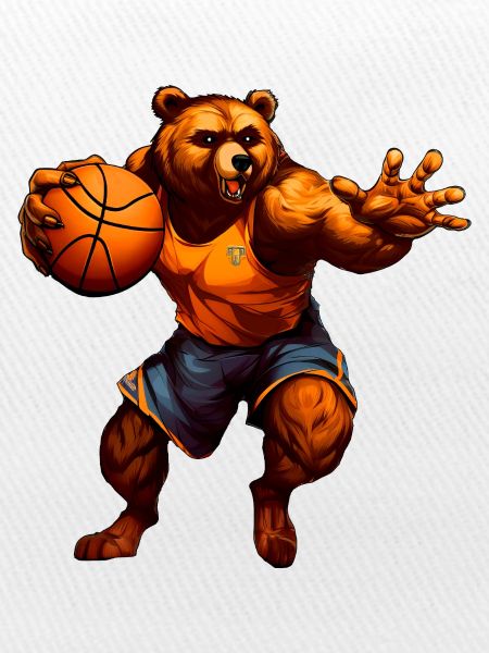 Basketball Bär