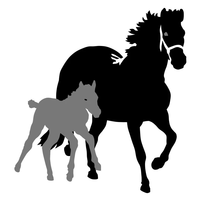 pferde