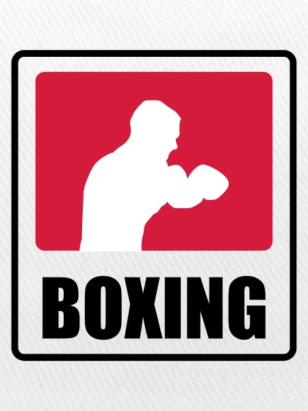 Boxer - Boxing 🥊