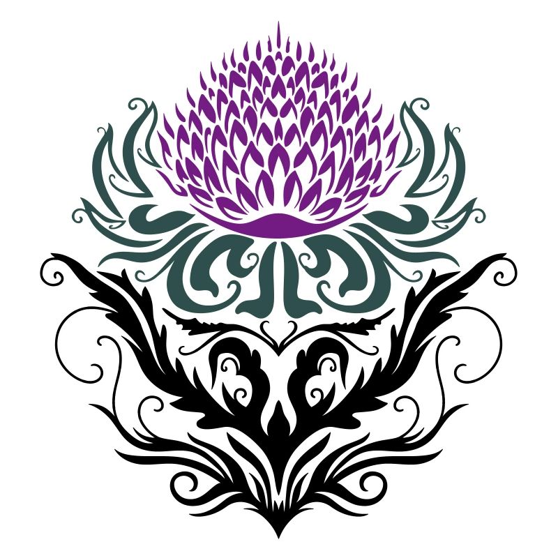 Distel lila Thistle