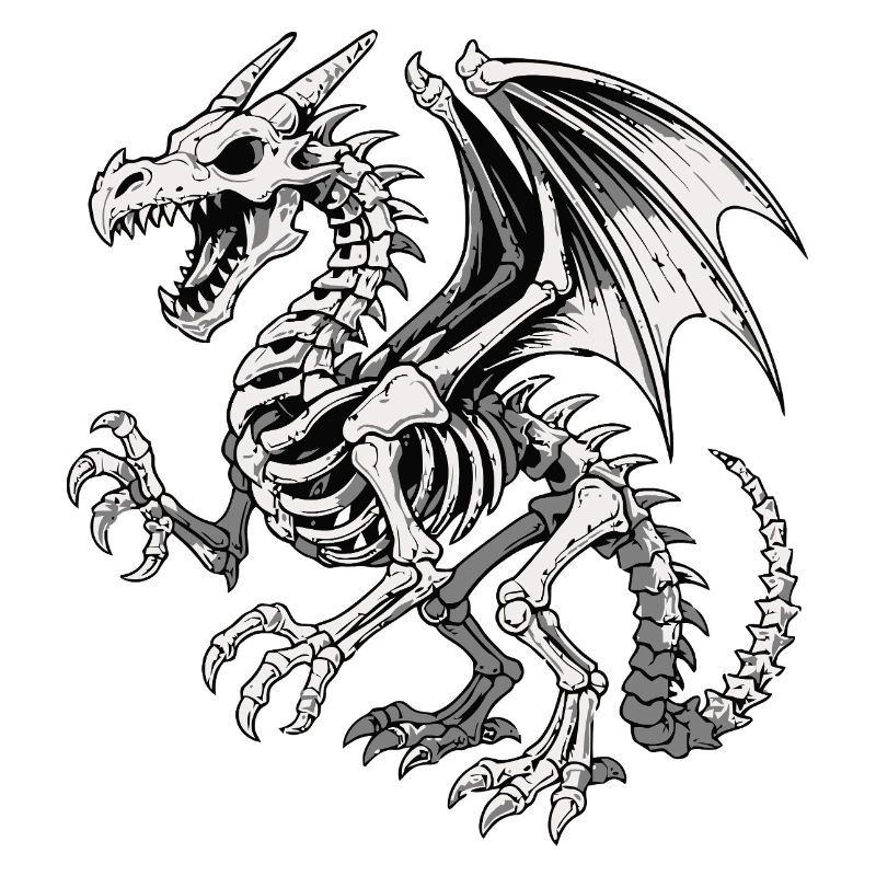 Illustration de squelette de dragon céleste
