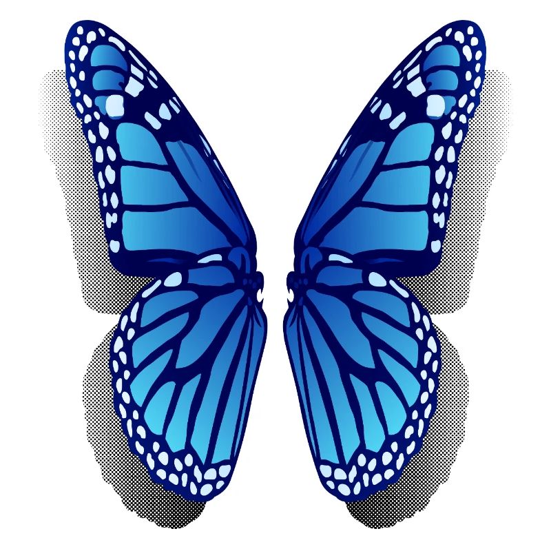 Ailes de papillon Monarc