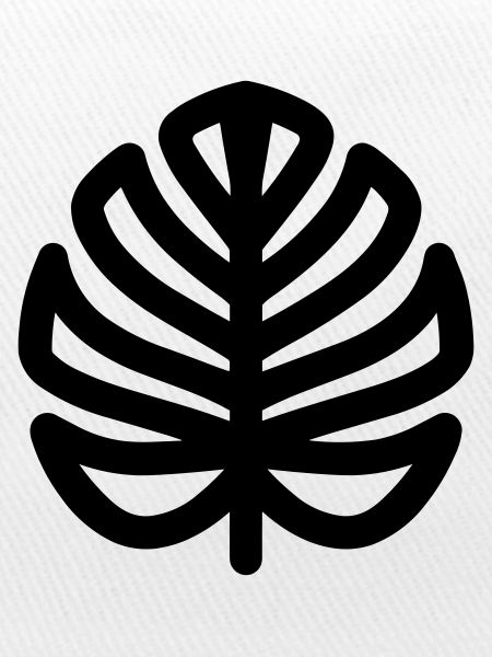 Monstera-Blatt