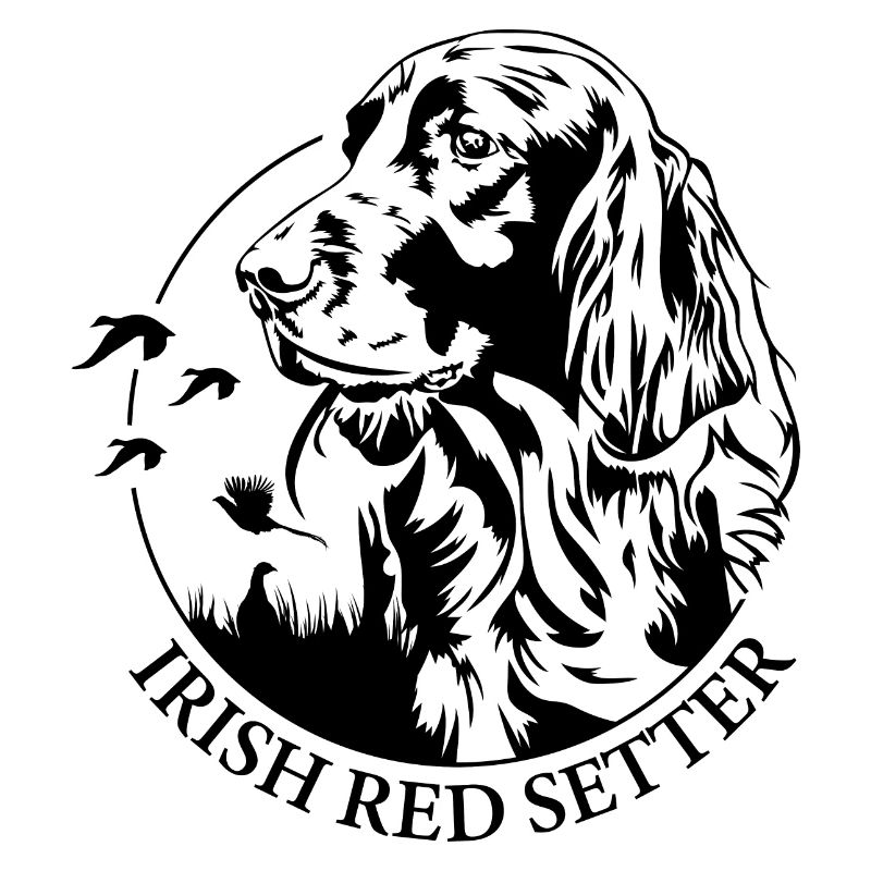 Irish Red Setter Jagdhund Jagdhunde Hunde Wilsigns