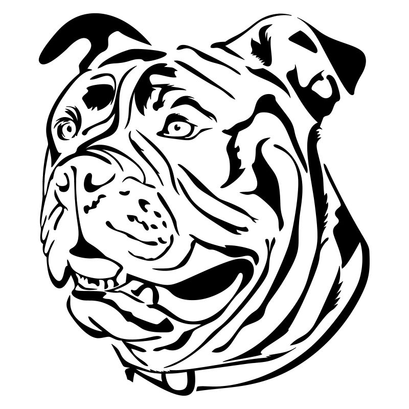 Vieux bouledogue anglais