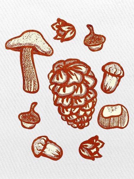 Rustikale Herbstschmuck-Illustration