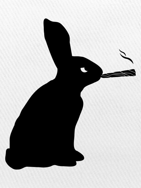 Hase Joint