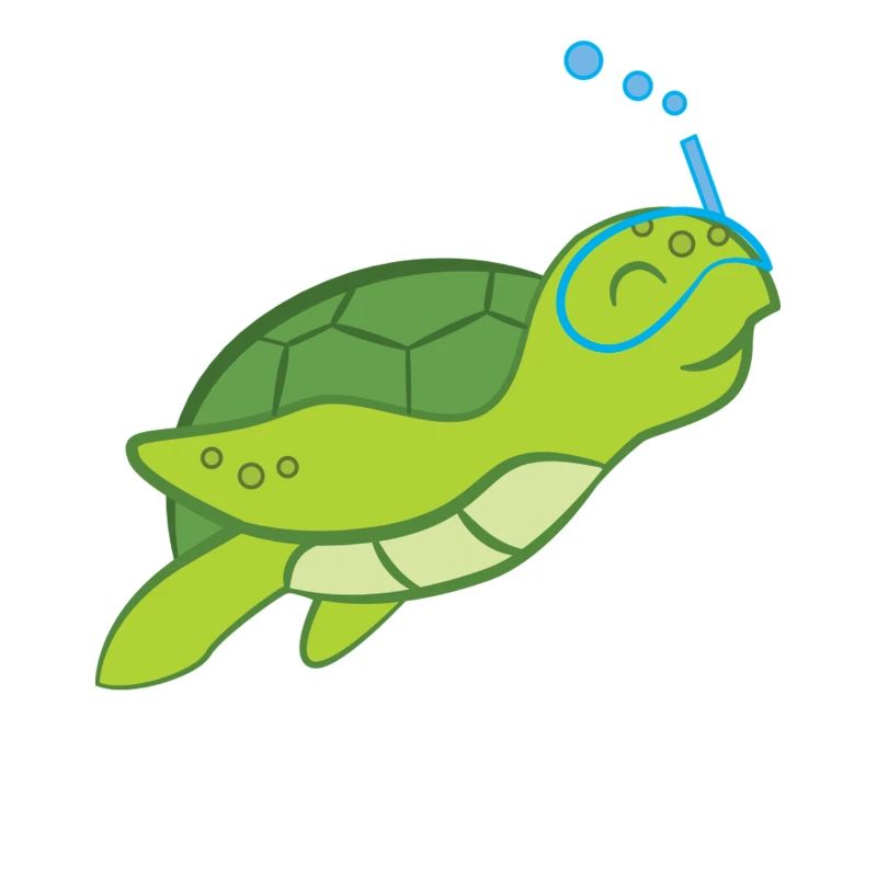 Turtle - Turtle Lover - Turtles
