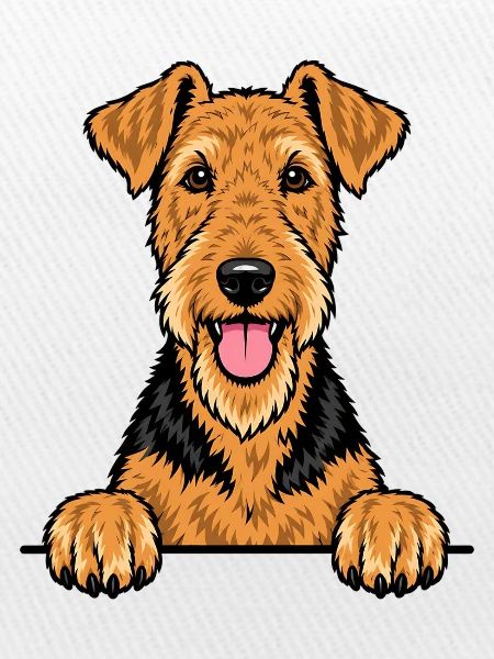 Airedale Terrier