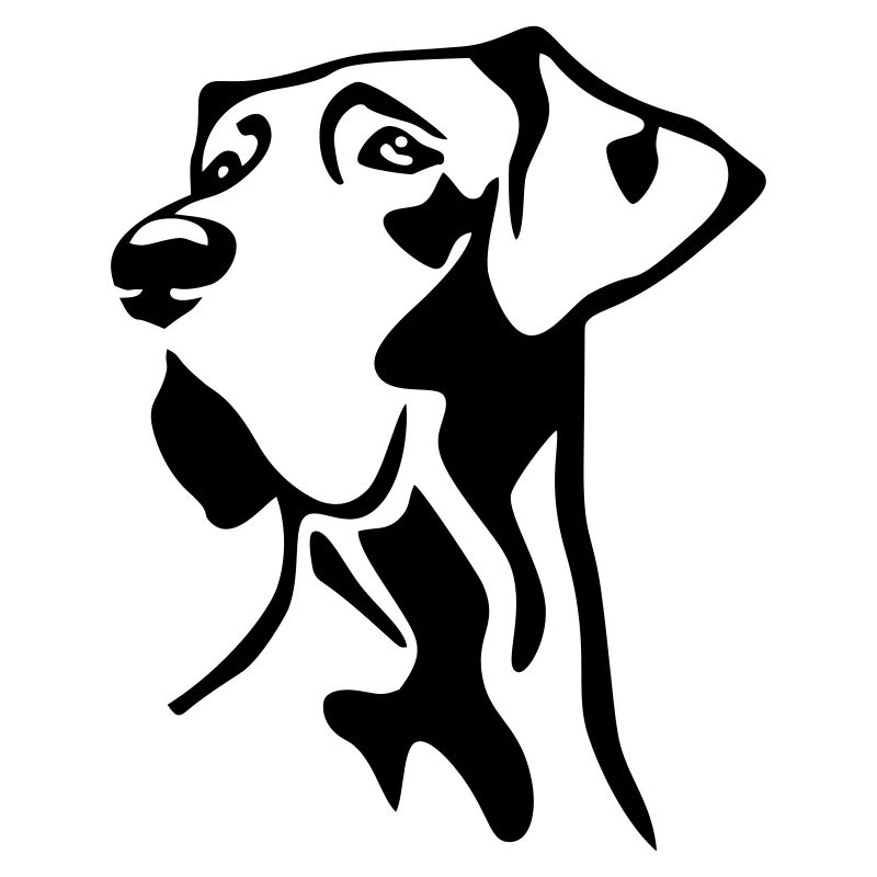 Great Dane head