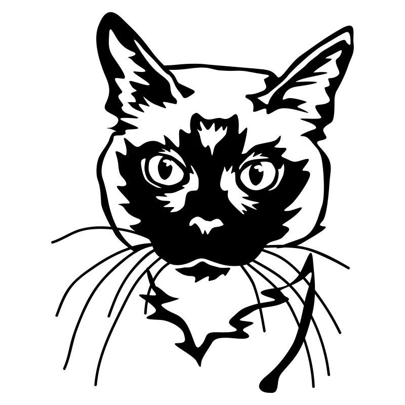 Chat siamois