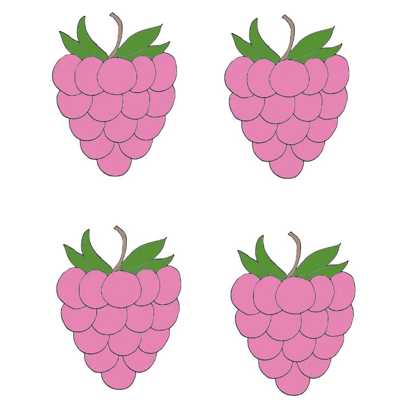 Motif de double grappe de framboise