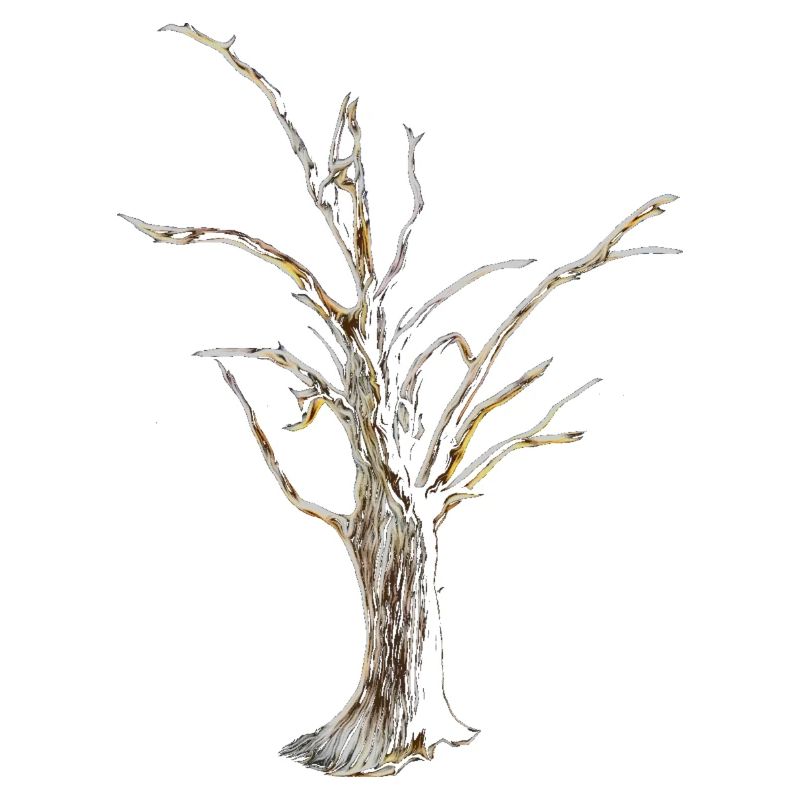 Baum