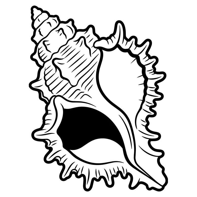 shell