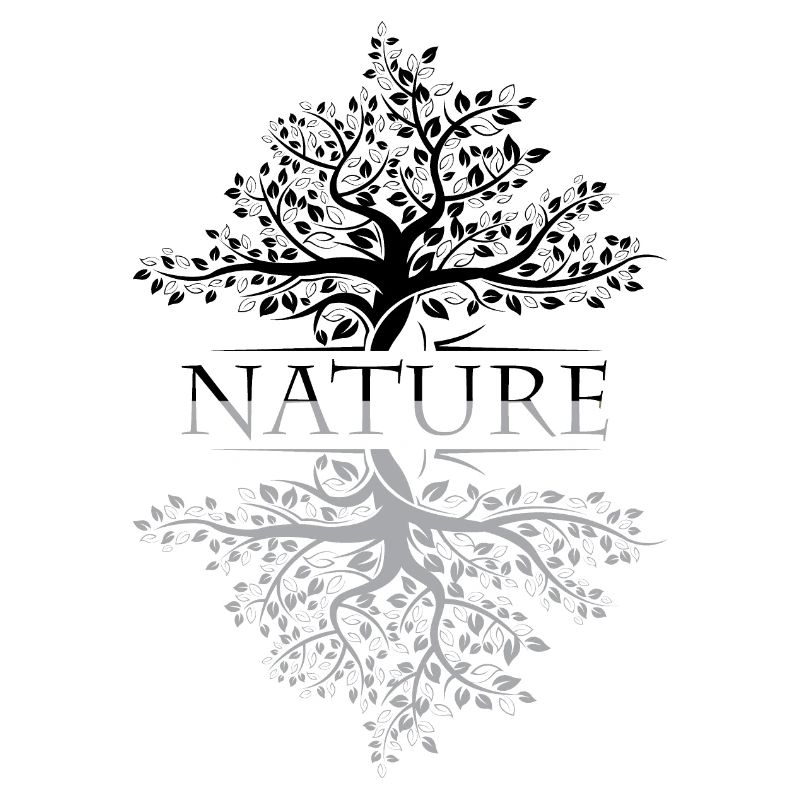 Tree Reflection Nature Symbol Forest Nature Conservation icon