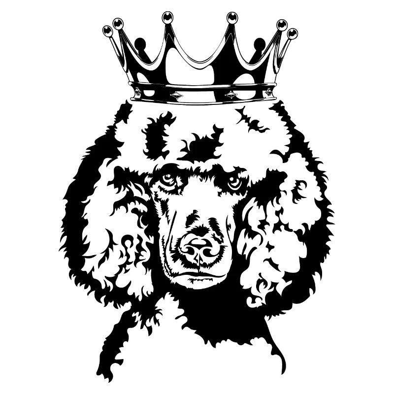 Caniche Crown Chiens Chien Wilsigns