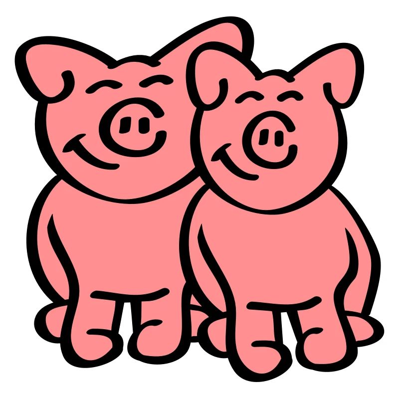 Cute Pigs