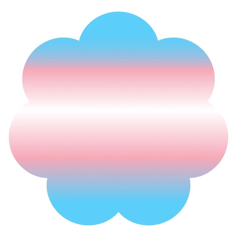 Subtle Transgender Pride