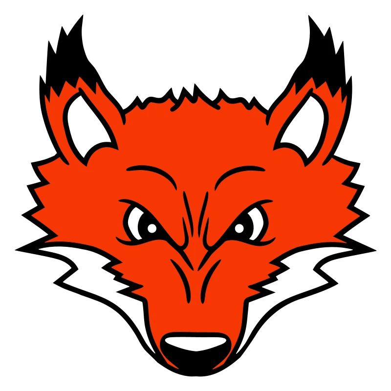 Fox, Evil Eye, , Red Fox, Wild Animal