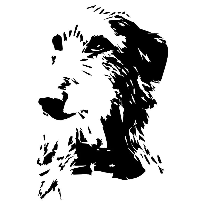 Tête écossaise de Deerhound