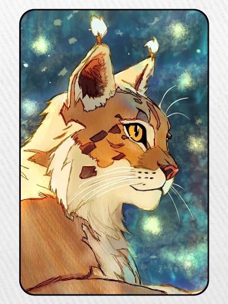 Luchs im Profil