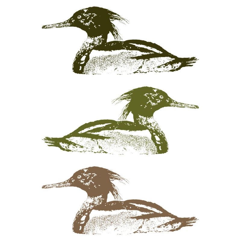 MERGUS