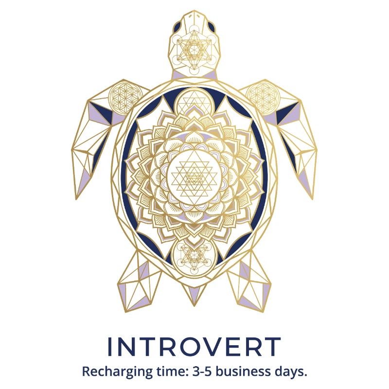 Geometric Turtle Mandala Introvert