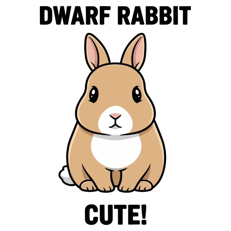 Dwarf Rabbit Dwarf Cute Rabbit Fetish