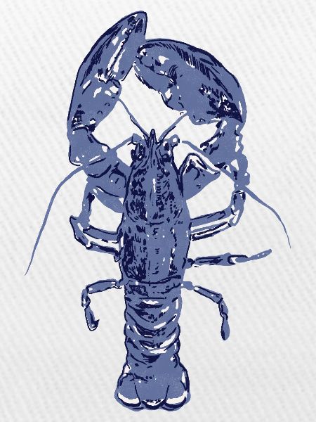 Blauer Hummer
