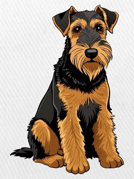 Airedale Terrier-Hund