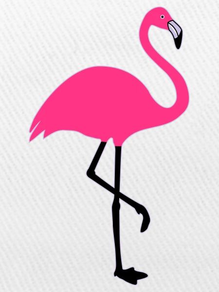 Flamingo Summer Sun Beach