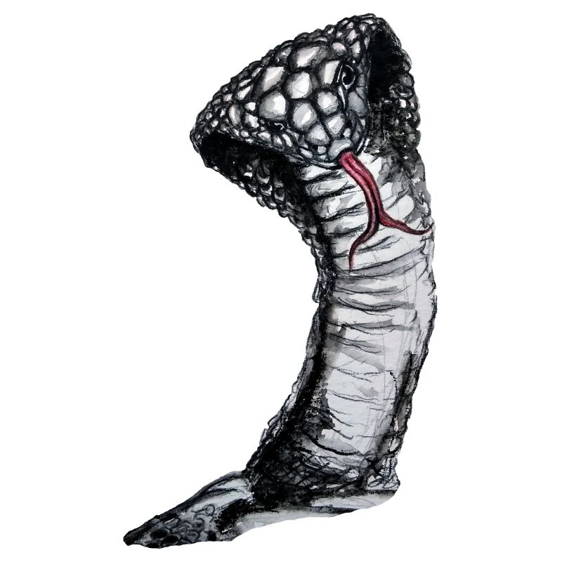 Cobra