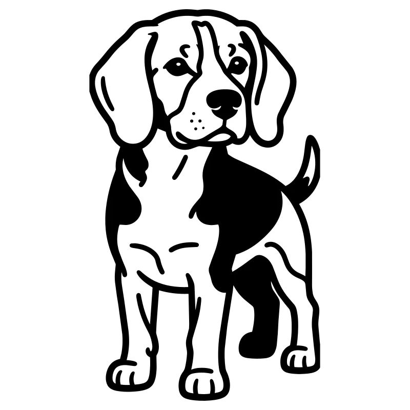 Le chien beagle