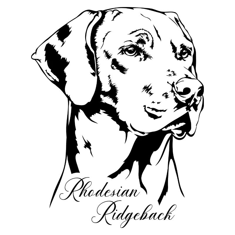 RHODESIAN RIDGEBACK RR Portrait de chien Wilsigns