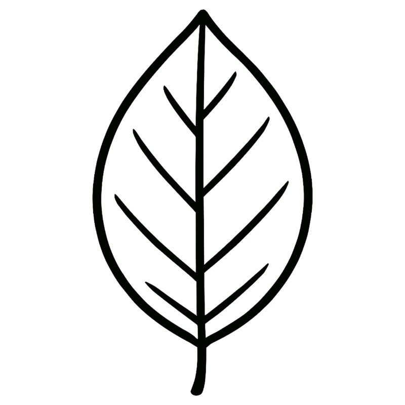 Conception à lignes de feuilles noires