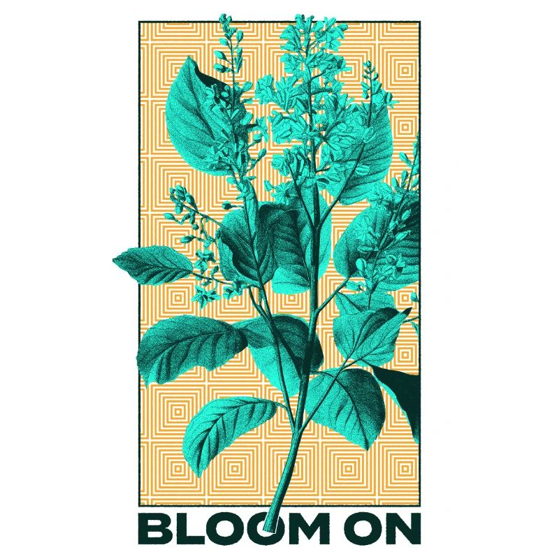 Conception de la flore et de la faune