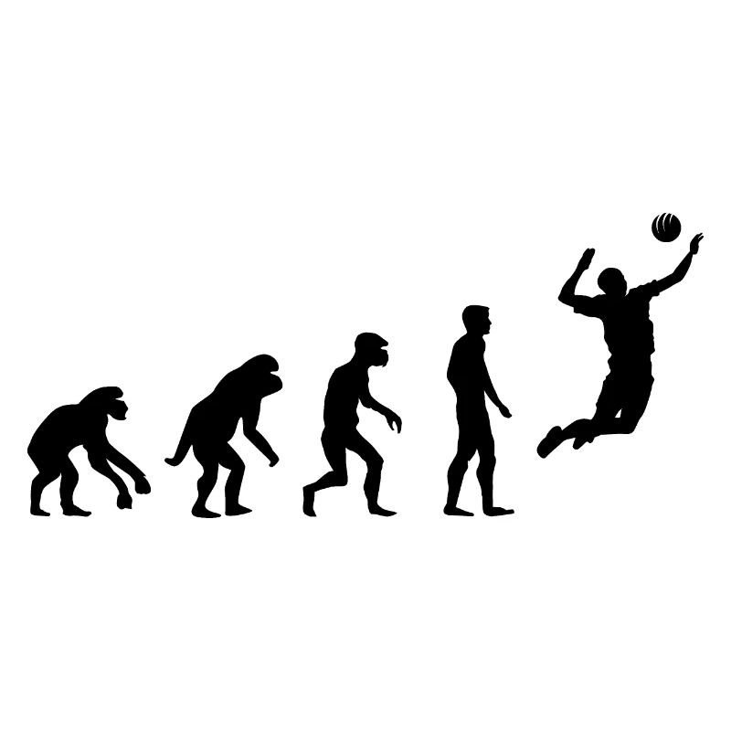 Retro volleyball Evolution Icône du beach-volley