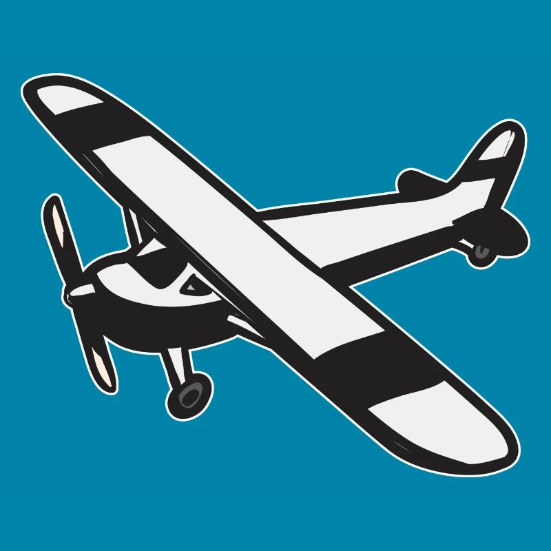 Modèle d’avion télécommandé