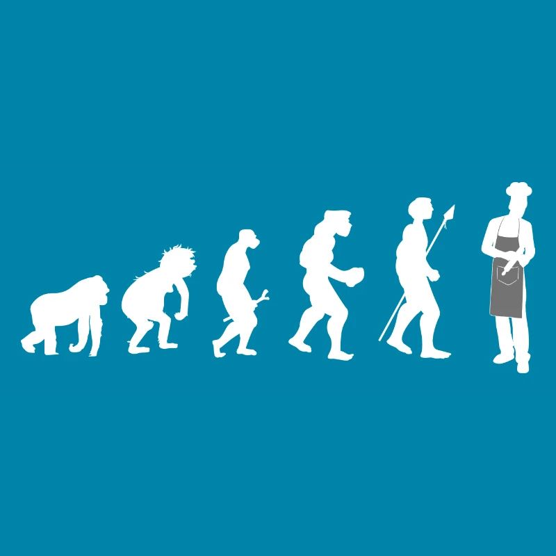 KochKoch Evolution