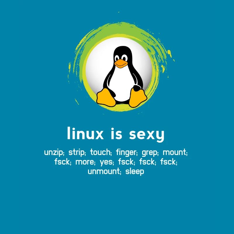 Computer System Pinguin Nerd pc inside code admin