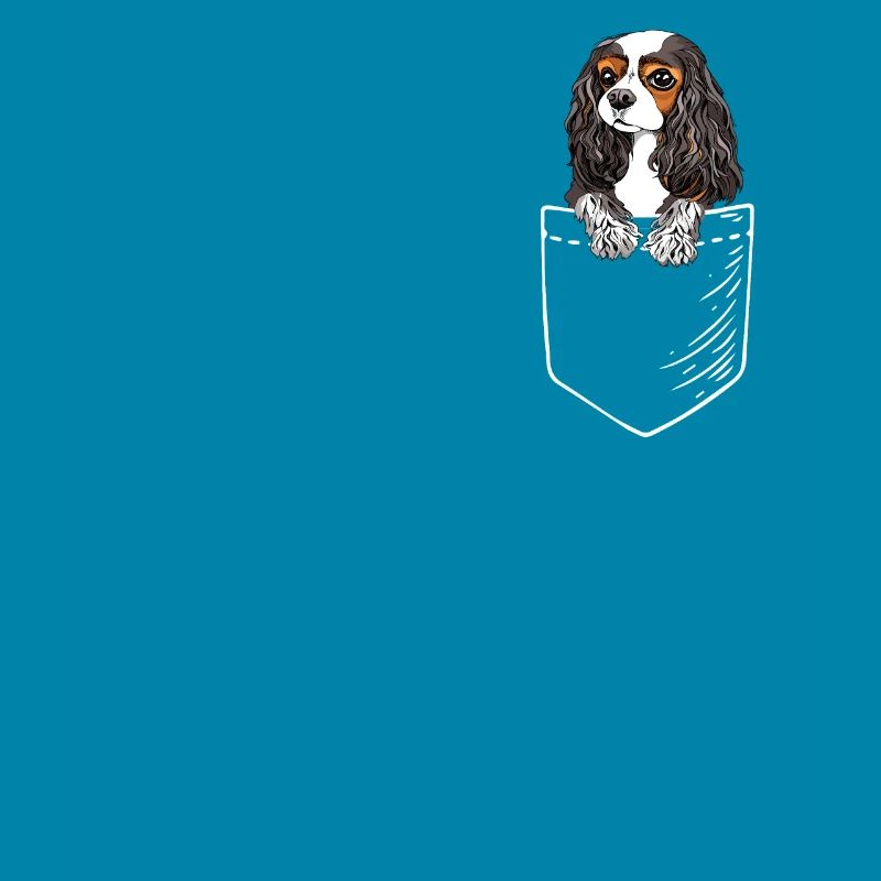 Cavalier King Charles Spaniel
