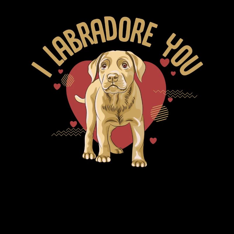 Labrador, cane Labrador, Labrador retriever,